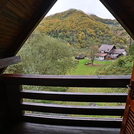 Casa De Vacanta Satic Piatra Craiului La Doi Viermi Buitenkant foto