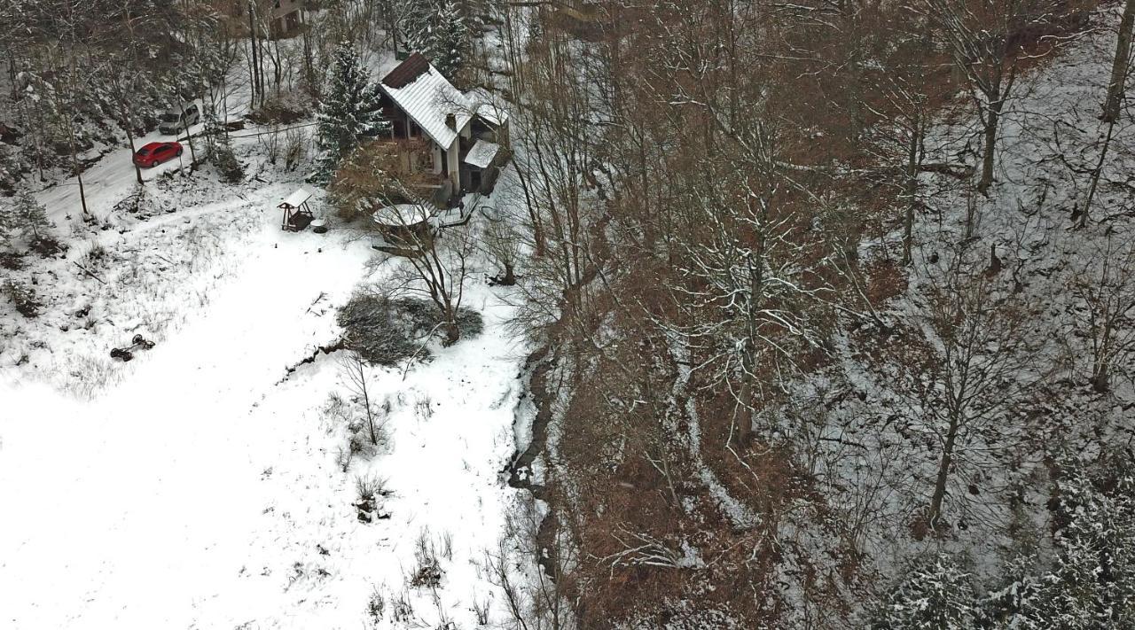 Casa De Vacanta Satic Piatra Craiului La Doi Viermi Buitenkant foto