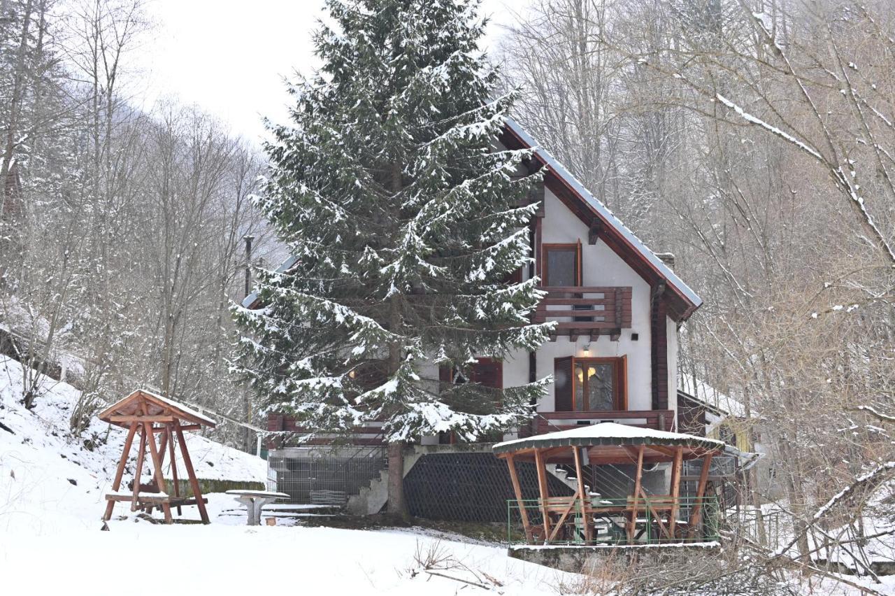 Casa De Vacanta Satic Piatra Craiului La Doi Viermi Buitenkant foto