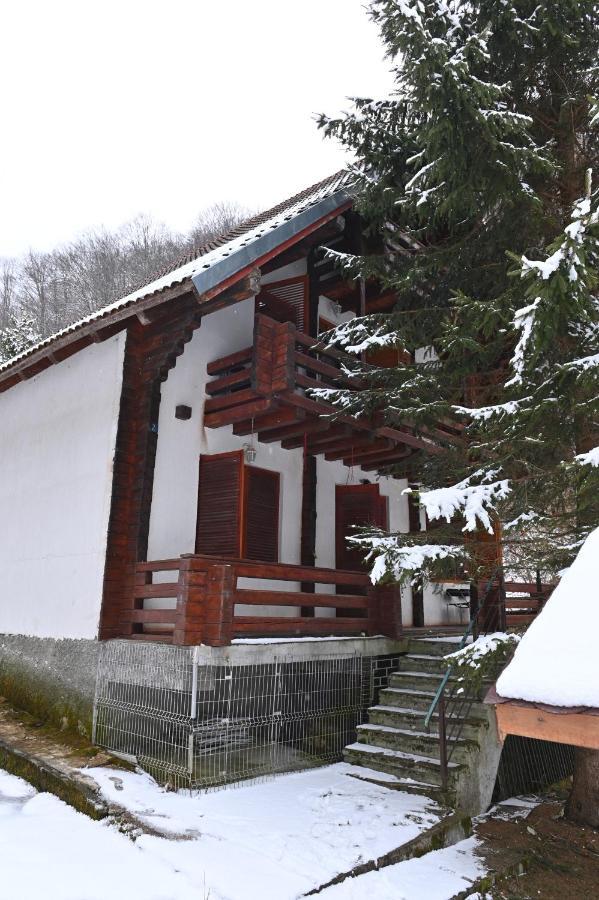 Casa De Vacanta Satic Piatra Craiului La Doi Viermi Buitenkant foto