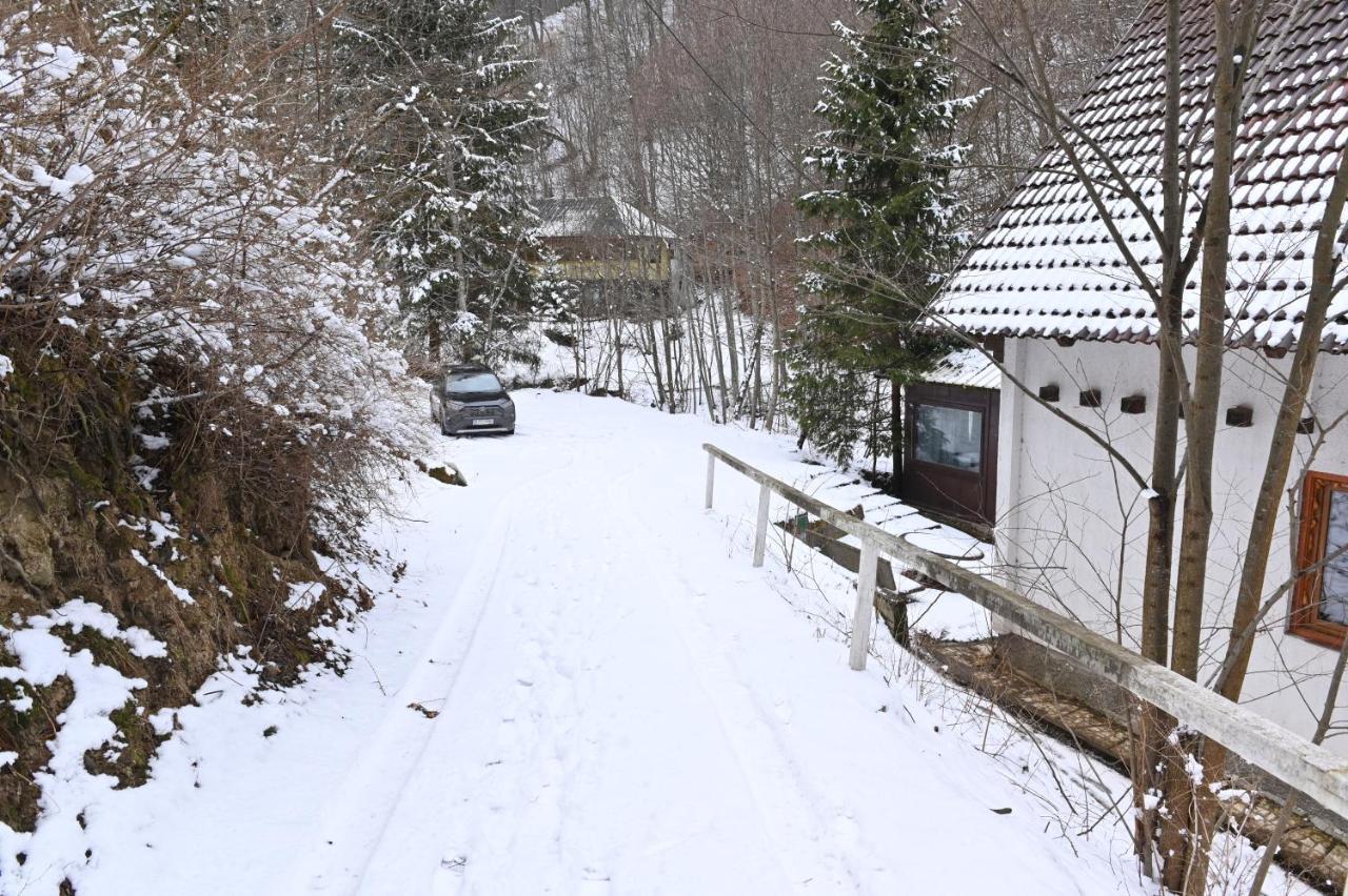 Casa De Vacanta Satic Piatra Craiului La Doi Viermi Buitenkant foto