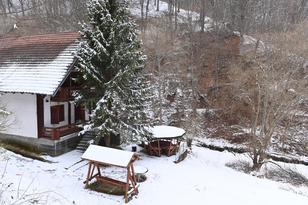 Casa De Vacanta Satic Piatra Craiului La Doi Viermi Buitenkant foto