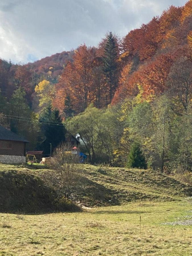 Casa De Vacanta Satic Piatra Craiului La Doi Viermi Buitenkant foto