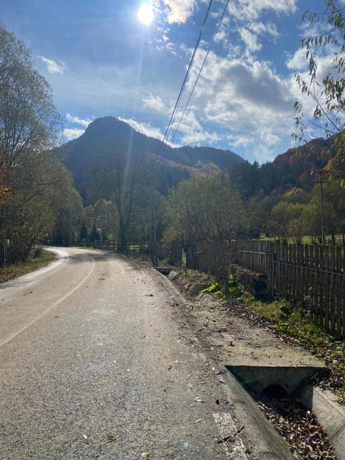 Casa De Vacanta Satic Piatra Craiului La Doi Viermi Buitenkant foto
