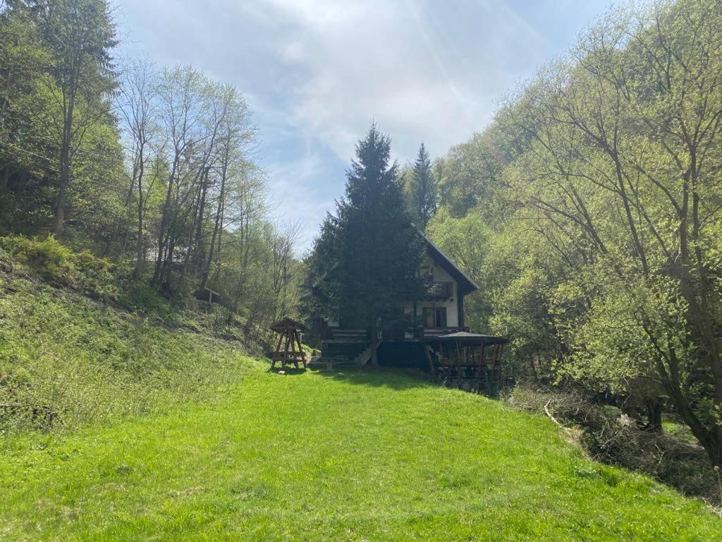 Casa De Vacanta Satic Piatra Craiului La Doi Viermi Buitenkant foto