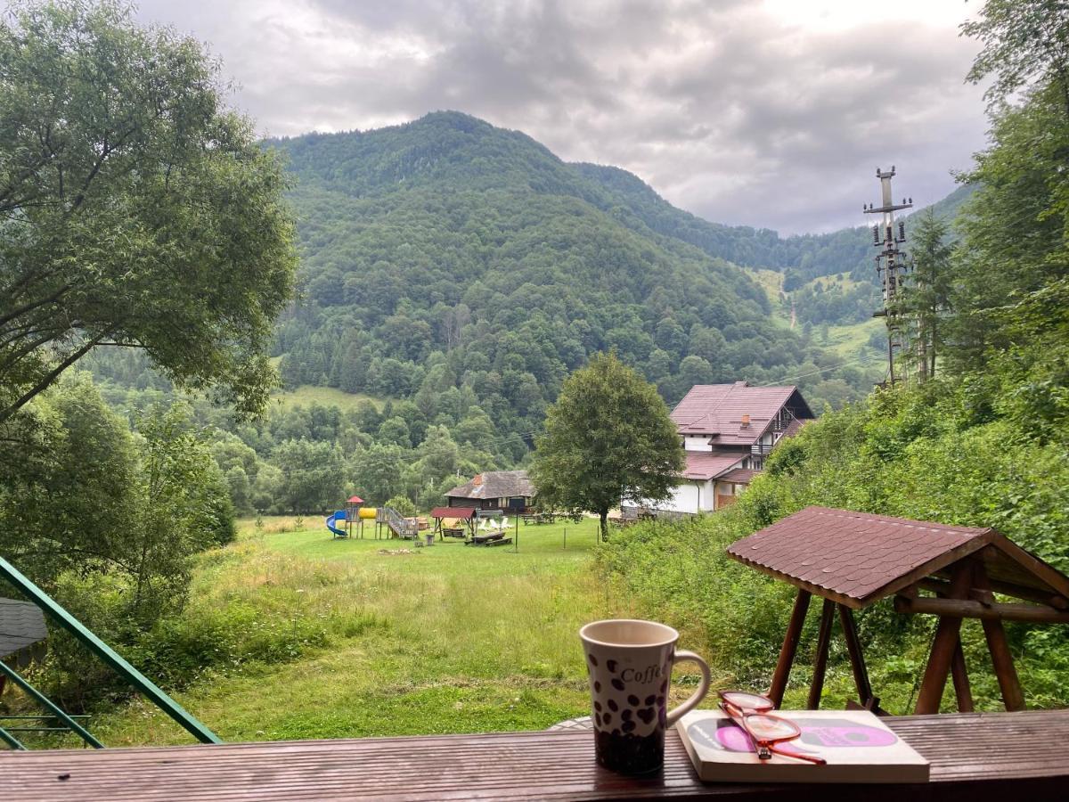 Casa De Vacanta Satic Piatra Craiului La Doi Viermi Buitenkant foto