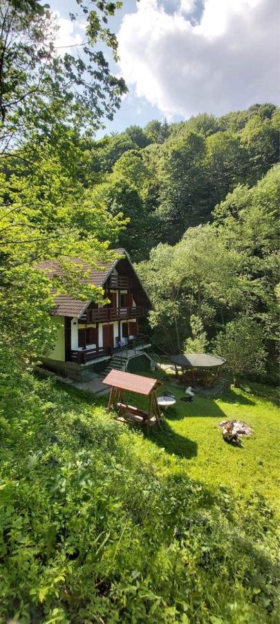 Casa De Vacanta Satic Piatra Craiului La Doi Viermi Buitenkant foto