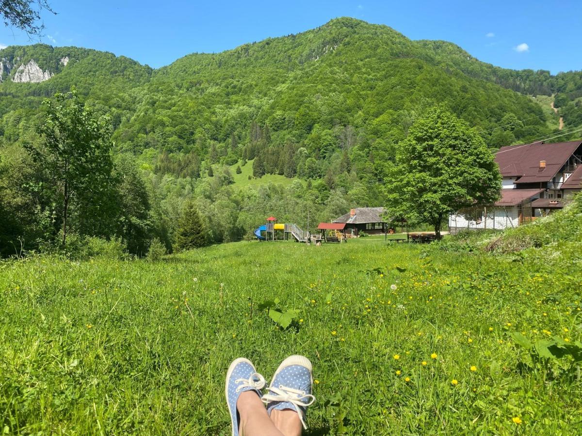 Casa De Vacanta Satic Piatra Craiului La Doi Viermi Buitenkant foto