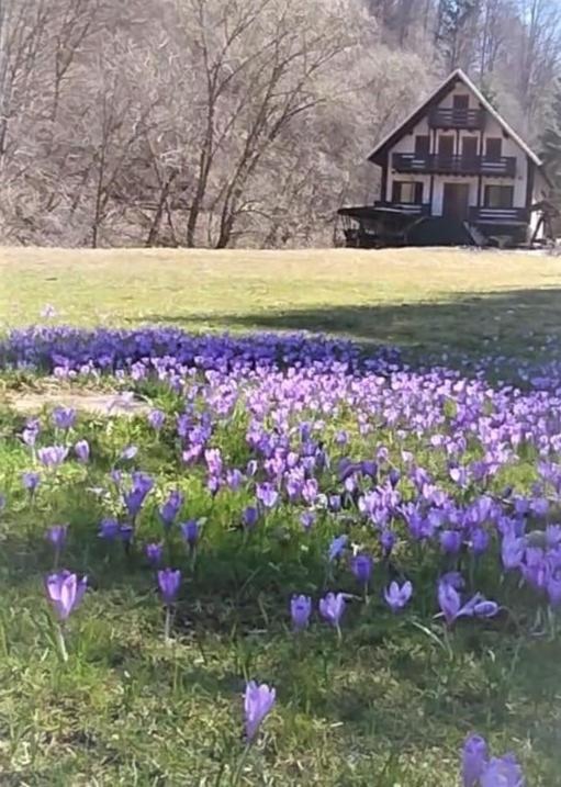 Casa De Vacanta Satic Piatra Craiului La Doi Viermi Buitenkant foto