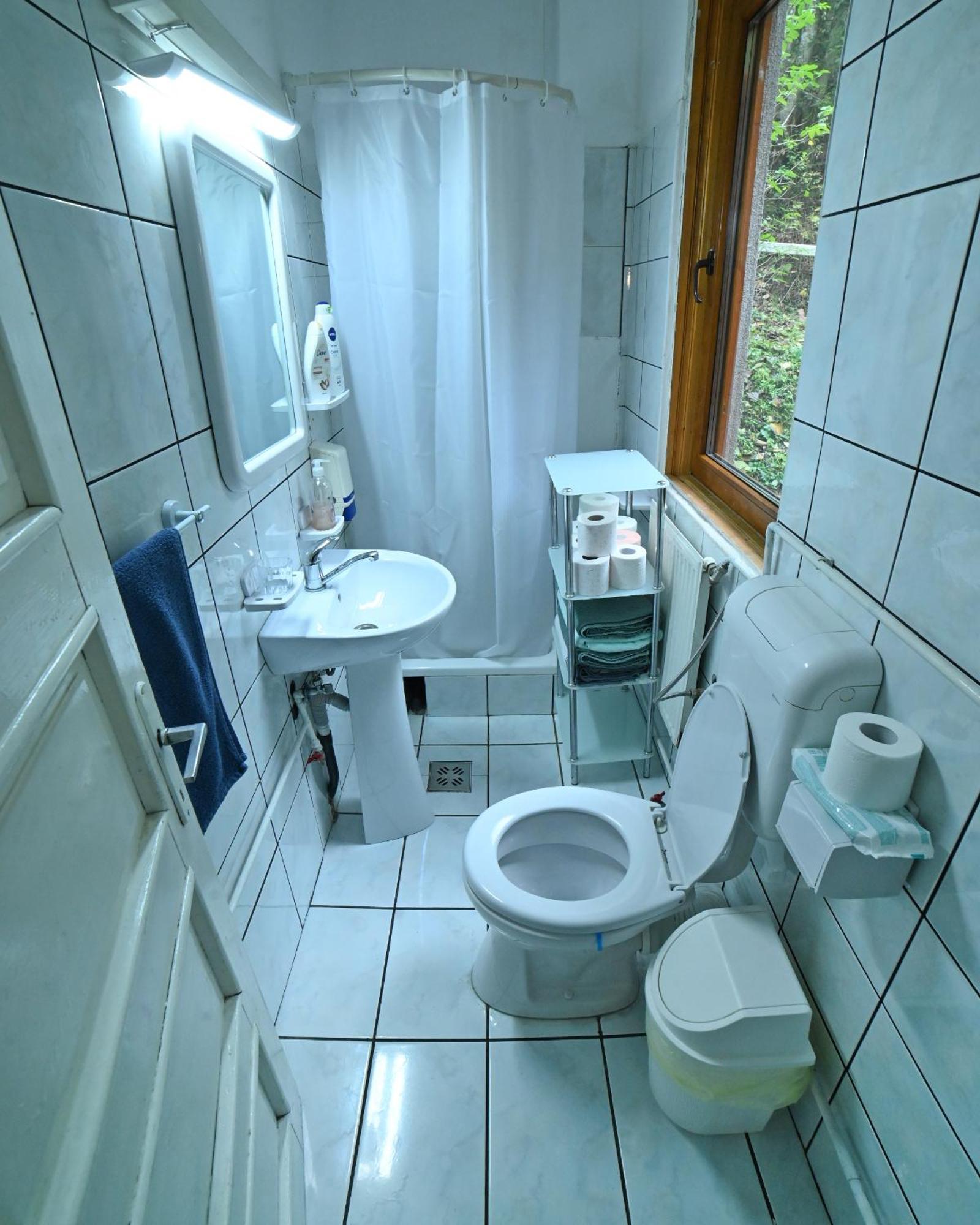 Casa De Vacanta Satic Piatra Craiului La Doi Viermi Buitenkant foto